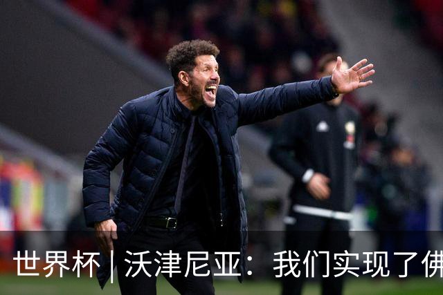 世界杯 | 沃津尼亚：我们实现了佛得角人民的梦想