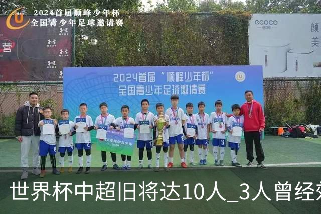 世界杯中超旧将达10人 3人曾经效力国安海港两将