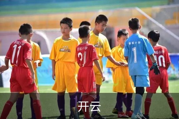 走进开云