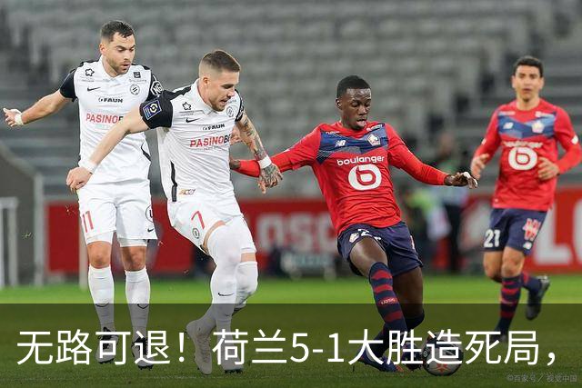 无路可退！荷兰5-1大胜造死局，日本队陷入两头堵绝境：不赢球直接出局